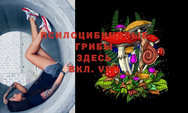 таблы Покачи
