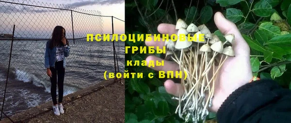 гашик Баксан
