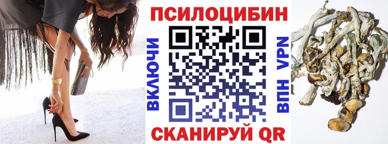 Псилоцибиновые грибы Cubensis kraken зеркало Соль-Илецк