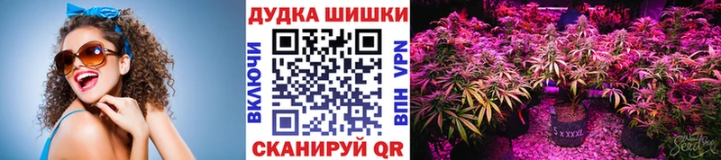 mega   Соль-Илецк  Конопля Ganja  что такое  